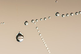 On the river bank / ***