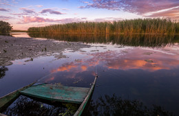 Apricot Evening / ***