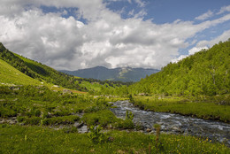 Valley Lesser Dukka / ***