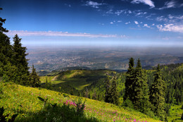 Climbing in the mountains / ***