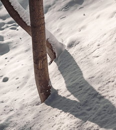 Shadows at Noon / ***