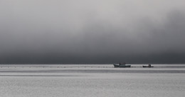 Foggy calm ... / ***