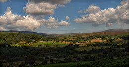 ...Liffey Springhead Valley... / ***