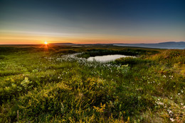 Sunset in the tundra / ***