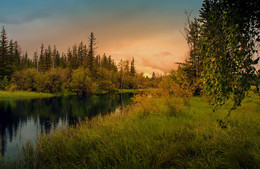 Lakeland taiga ... / ***