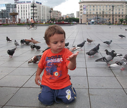 Boy and pigeons / ***