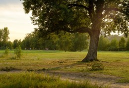 Park Tatysheva / ***