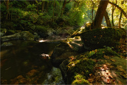 ... On the threshold of autumn ... / ***