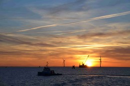 By the morning will be home / ***