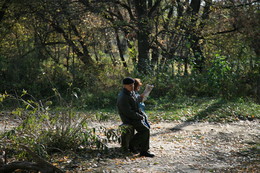 Autumn Life / ***
