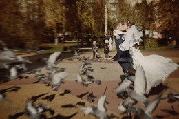 Bride and groom / ***