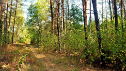 August outside / ***