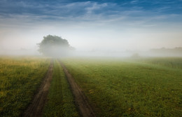 The road in the morning / ***