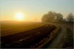 on the road to the sun / ***