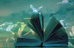 finished book / ***
