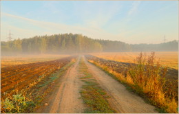 signs of autumn / ***