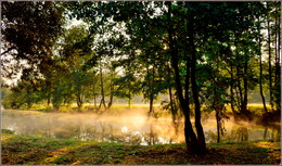 sun bathing in the river / ***