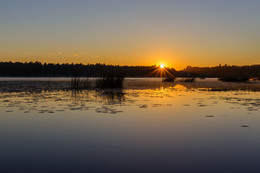 Morning on the lake / ***