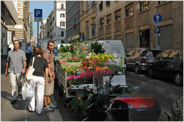 Flower Seller / ***