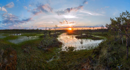 Sunset on the swamp. / ***