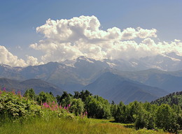 Caucasus / ***