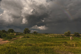 Thunderstorm over the meadow / ...