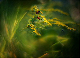Food heaven and earth / ***