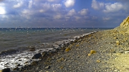 Seagulls over the sea / ***