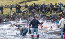 Peculiarities of National Fishing. / ***