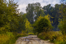 The road to autumn / ***