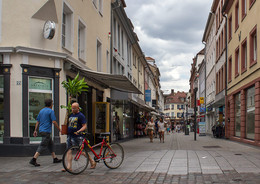 Flowers for the beloved / ***