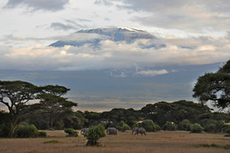 Mount Kilimanjaro &quot;in the sunset!&quot; / ***