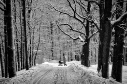 In the park in winter / ***