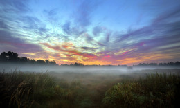 Foggy morning in August ... / ***