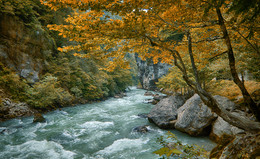 River .. / ***