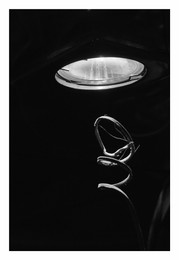 Light hallucinations / ***