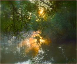 Light hallucinations / ***