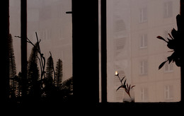 Light hallucinations / ---