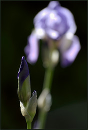 Before and after / ***