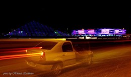Light hallucinations / ***