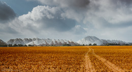 Belarusian Mountain / ***