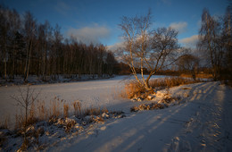Winter evening in the Red Bor / ***