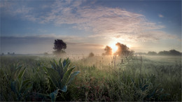 The morning bathed in the dawn mist-3 / ...