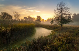 Quiet Dawn Autumn time ... / ***