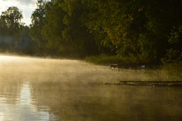 Foggy morning, the morning of September. / ***