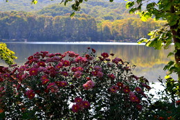 At the lake. / ***