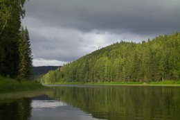 River Birch / ***