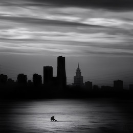Fishing in the black city / ***