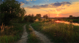 At sunset summer / ***