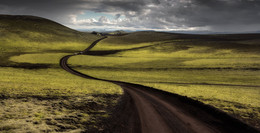 Chocolate Banana fields on the road / ***